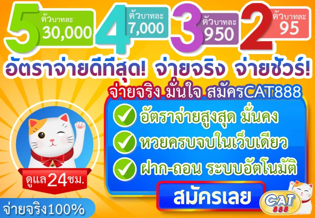 เว็บหวย cat888